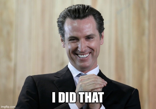 Scheming Gavin Newsom  | I DID THAT | image tagged in scheming gavin newsom | made w/ Imgflip meme maker