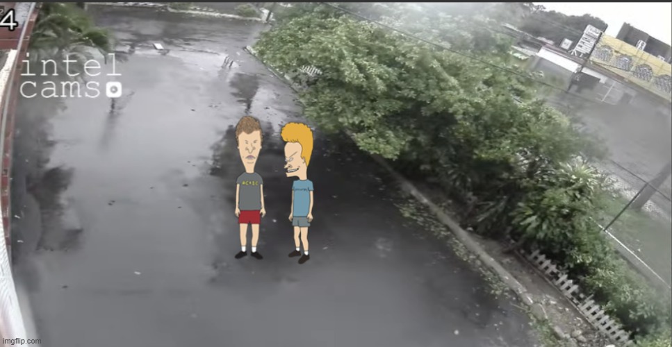 New template. | image tagged in beavis in butt head in the jamacia hurricane | made w/ Imgflip meme maker