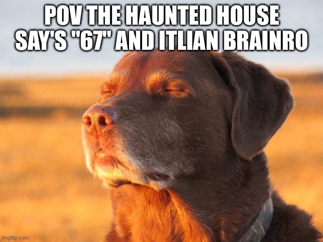 Real btw | POV THE HAUNTED HOUSE SAY'S "67" AND ITLIAN BRAINRO | image tagged in cooked dog | made w/ Imgflip meme maker