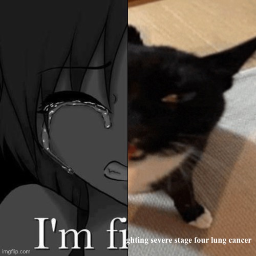 I'm fi | ghting severe stage four lung cancer | image tagged in i'm fi | made w/ Imgflip meme maker