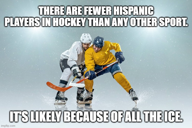 All the Ice | THERE ARE FEWER HISPANIC PLAYERS IN HOCKEY THAN ANY OTHER SPORT. IT'S LIKELY BECAUSE OF ALL THE ICE. | image tagged in all the ice | made w/ Imgflip meme maker