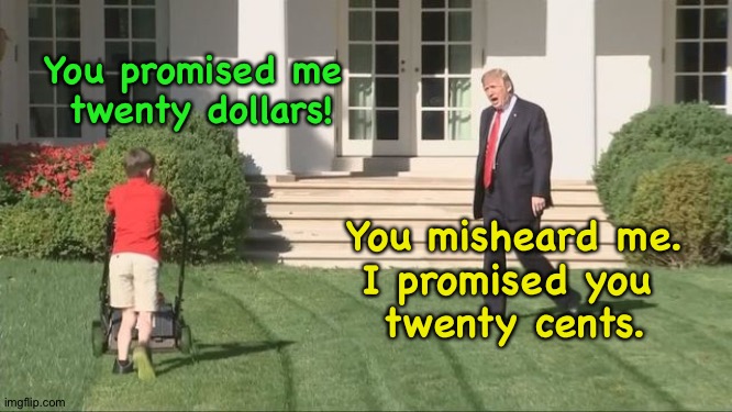 You promised me 
twenty dollars! You misheard me.
I promised you 
twenty cents. | image tagged in trump lawnmower kid | made w/ Imgflip meme maker