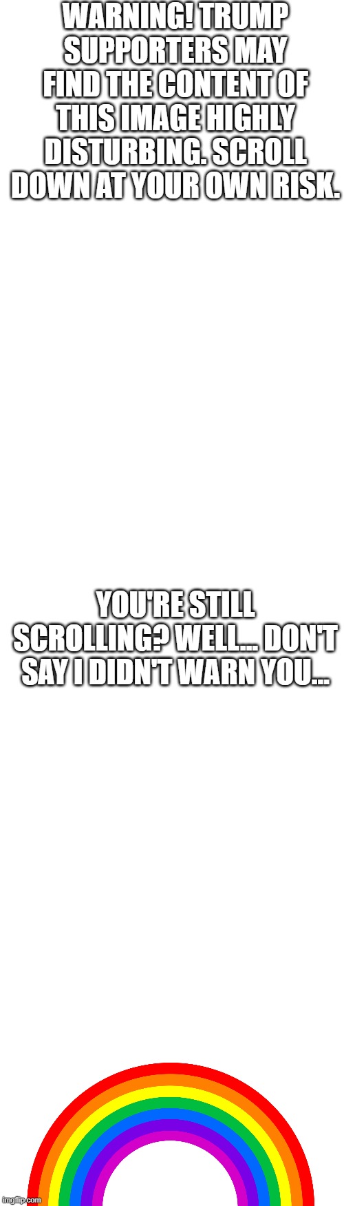 Long Blank White Template | WARNING! TRUMP SUPPORTERS MAY FIND THE CONTENT OF THIS IMAGE HIGHLY DISTURBING. SCROLL DOWN AT YOUR OWN RISK. YOU'RE STILL SCROLLING? WELL... DON'T SAY I DIDN'T WARN YOU... | image tagged in long blank white template,rainbow,gay,conservative,fear | made w/ Imgflip meme maker
