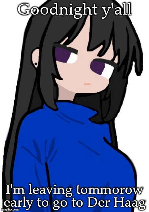 nonchalant look | Goodnight y'all; I'm leaving tommorow early to go to Der Haag | image tagged in nonchalant look | made w/ Imgflip meme maker