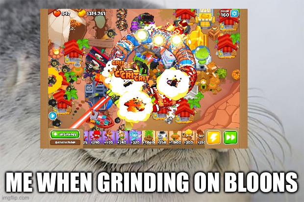Satisfied Seal | ME WHEN GRINDING ON BLOONS | image tagged in memes,satisfied seal | made w/ Imgflip meme maker