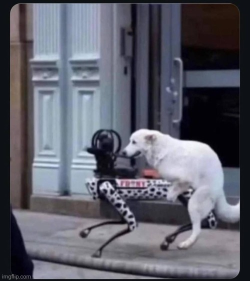 aagxnt.jpg