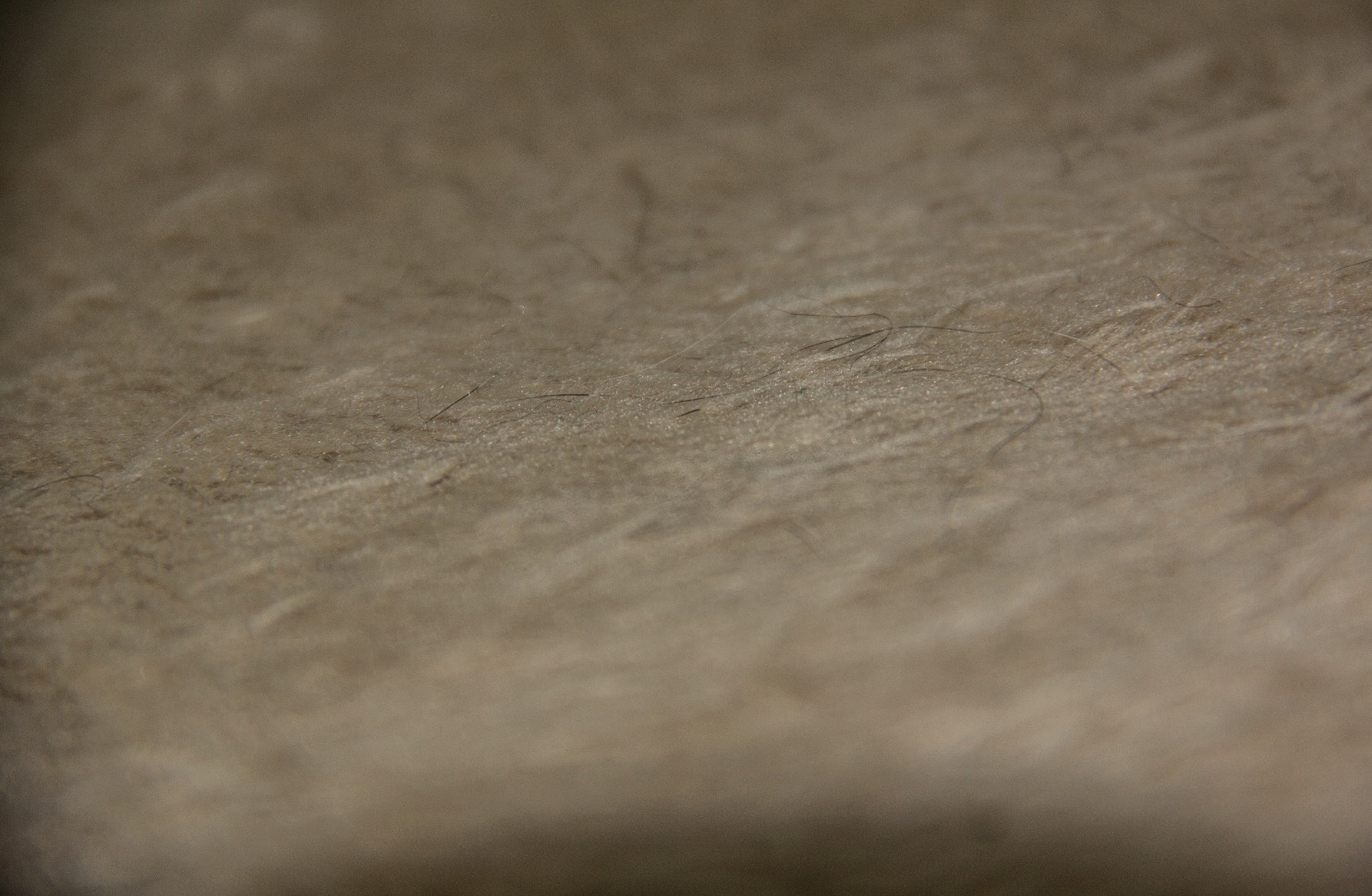 high quality photo i took of my cat's cat hairs on the platform of a cat tower | made w/ Imgflip meme maker