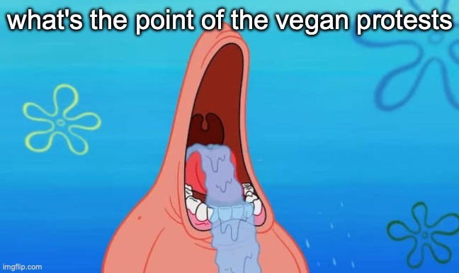 Patrick drooling meme | what's the point of the vegan protests | image tagged in patrick drooling meme | made w/ Imgflip meme maker