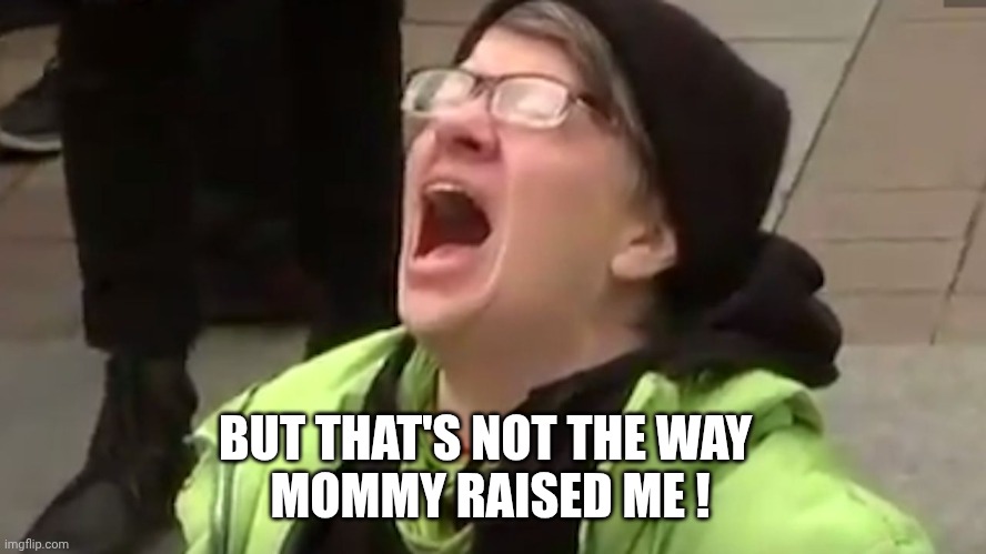 Screaming Liberal  | BUT THAT'S NOT THE WAY
 MOMMY RAISED ME ! | image tagged in screaming liberal | made w/ Imgflip meme maker