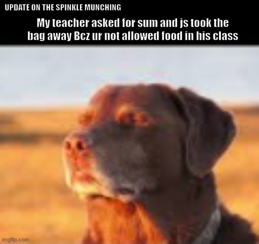.................... | UPDATE ON THE SPINKLE MUNCHING; My teacher asked for sum and js took the bag away Bcz ur not allowed food in his class | image tagged in fuck yes | made w/ Imgflip meme maker