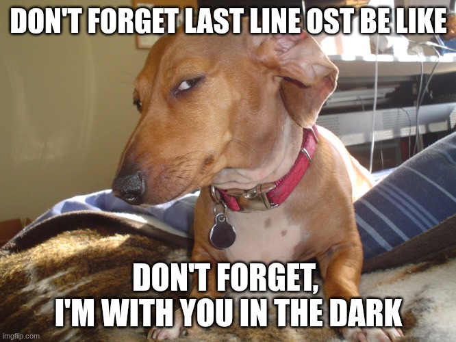 Nut Dealer The Song | DON'T FORGET LAST LINE OST BE LIKE; DON'T FORGET,  I'M WITH YOU IN THE DARK | image tagged in suspicious dog | made w/ Imgflip meme maker