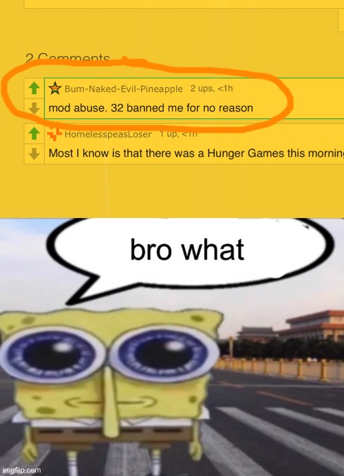 i like 32 bit did he actually mod abuse? i doubt he did | image tagged in bro what | made w/ Imgflip meme maker