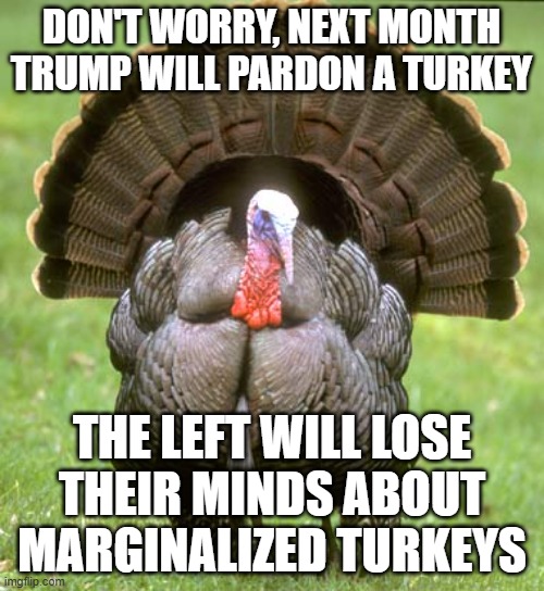 Turkey Meme | DON'T WORRY, NEXT MONTH TRUMP WILL PARDON A TURKEY THE LEFT WILL LOSE THEIR MINDS ABOUT MARGINALIZED TURKEYS | image tagged in memes,turkey | made w/ Imgflip meme maker
