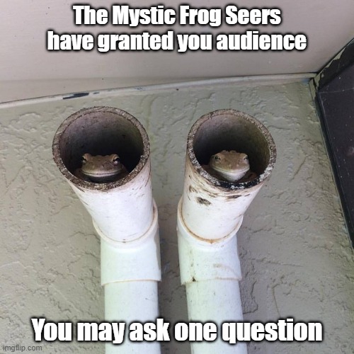 Mystic Frog | The Mystic Frog Seers have granted you audience; You may ask one question | image tagged in advice,seer,question,frog | made w/ Imgflip meme maker