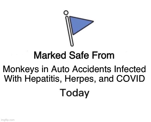 Marked Safe From Meme | Monkeys in Auto Accidents Infected With Hepatitis, Herpes, and COVID | image tagged in memes,marked safe from | made w/ Imgflip meme maker