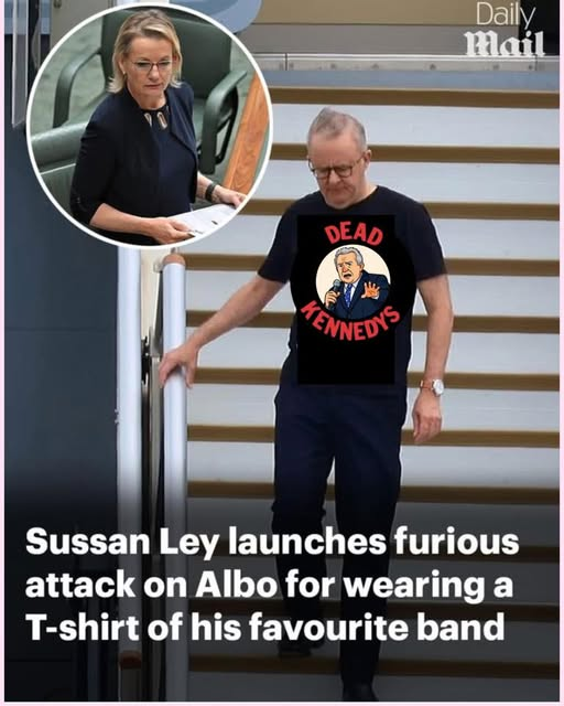 Albo Favourite Band T-Shirt Blank Meme Template