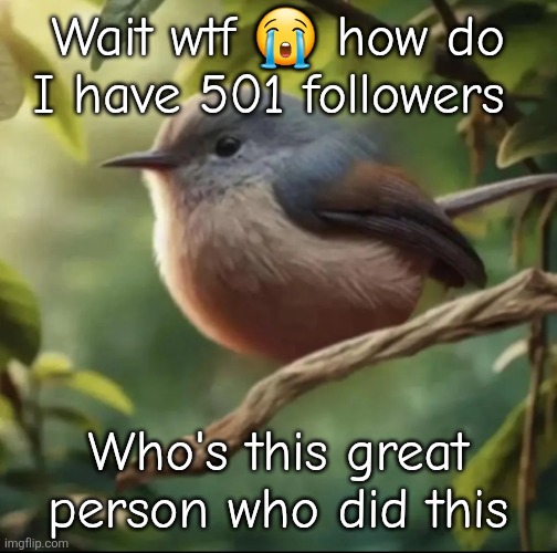 453 to 501 in like 6-7 hours | Wait wtf 😭 how do I have 501 followers; Who's this great person who did this | image tagged in no balls | made w/ Imgflip meme maker