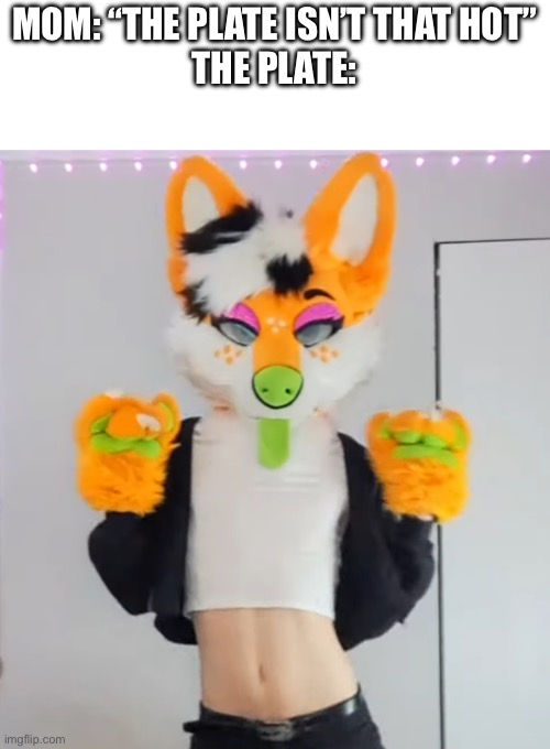 MOM: “THE PLATE ISN’T THAT HOT”
THE PLATE: | made w/ Imgflip meme maker