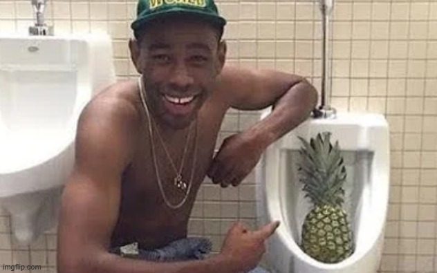 tyler pineapple | image tagged in tyler pineapple | made w/ Imgflip meme maker
