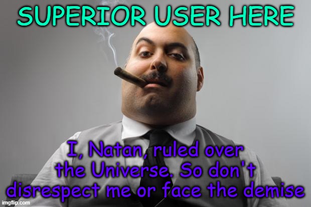 I am above all laws of avi- | SUPERIOR USER HERE; I, Natan, ruled over the Universe. So don't disrespect me or face the demise | image tagged in scumbag boss,boss,captain,king,chief,leader | made w/ Imgflip meme maker