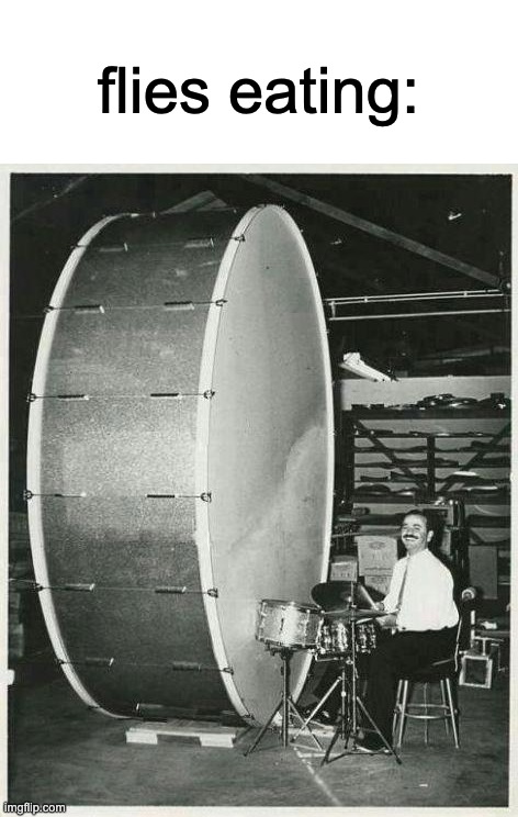 Big Ego Man | flies eating: | image tagged in memes,funny,funni,flies,anyone else seeing them drumming and rubbing their legs | made w/ Imgflip meme maker