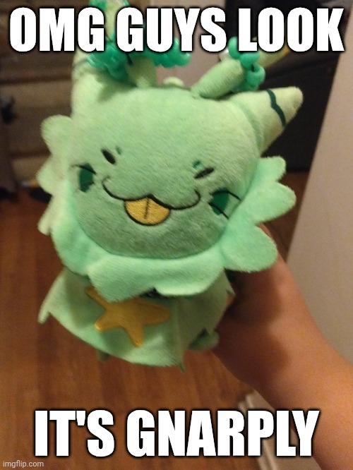 I named her Spacey though | OMG GUYS LOOK; IT'S GNARPLY | made w/ Imgflip meme maker