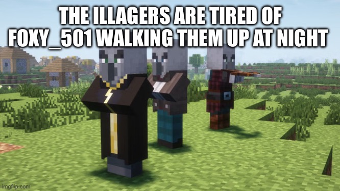 Pretend this is foxy_501 | THE ILLAGERS ARE TIRED OF FOXY_501 WALKING THEM UP AT NIGHT | image tagged in illagers | made w/ Imgflip meme maker