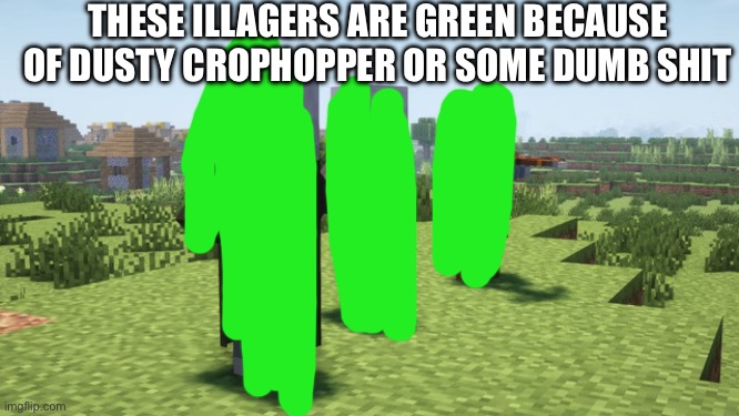 Illagers | THESE ILLAGERS ARE GREEN BECAUSE OF DUSTY CROPHOPPER OR SOME DUMB SHIT | image tagged in illagers | made w/ Imgflip meme maker