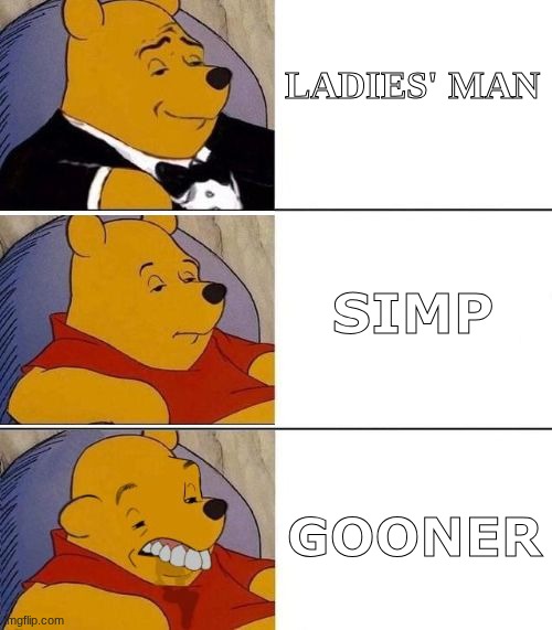 caste | LADIES' MAN; SIMP; GOONER | image tagged in tuxedo on top winnie the pooh 3 panel | made w/ Imgflip meme maker