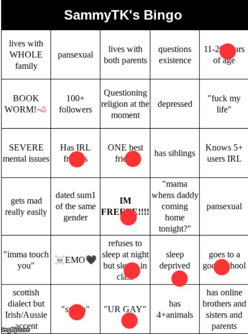 SAMMYTK's BINGO | image tagged in sammytk's bingo | made w/ Imgflip meme maker