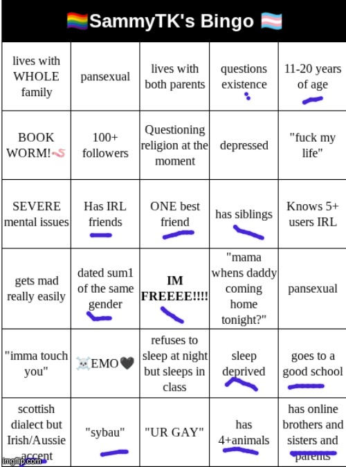 SAMMYTK's BINGO | image tagged in sammytk's bingo | made w/ Imgflip meme maker