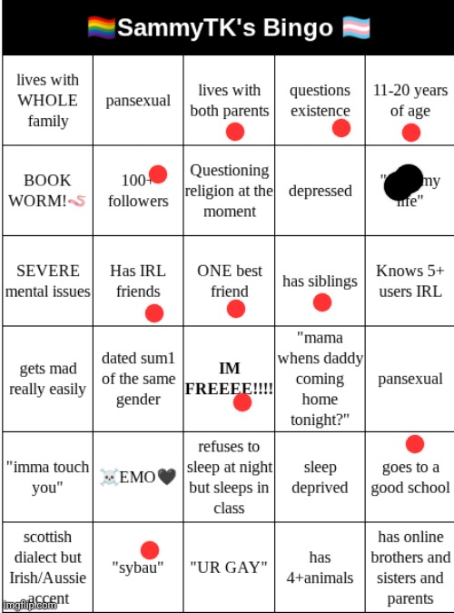 SAMMYTK's BINGO | image tagged in sammytk's bingo | made w/ Imgflip meme maker