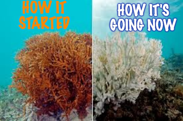 HOW IT
STARTED HOW IT'S
GOING NOW | made w/ Imgflip meme maker