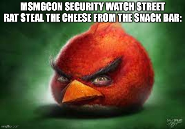 Realistic Red Angry Birds | MSMGCON SECURITY WATCH STREET RAT STEAL THE CHEESE FROM THE SNACK BAR: | image tagged in realistic red angry birds | made w/ Imgflip meme maker