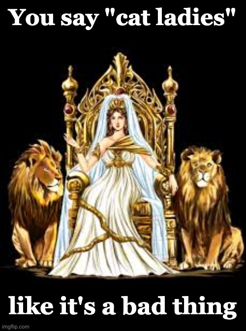 You say "cat ladies" like it's a bad thing | made w/ Imgflip meme maker