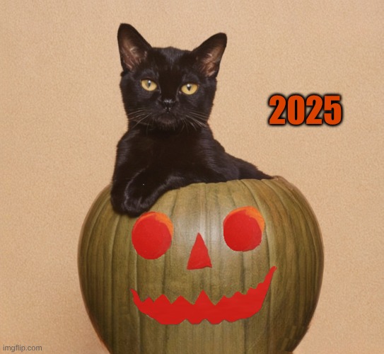 Happy Halloween 2005 | 2025 | image tagged in black cat,pumpkin,pumpkin spice,halloween is coming,happy halloween,2025 | made w/ Imgflip meme maker