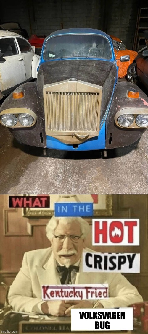 Volksvagen? Nein! | VOLKSVAGEN BUG | image tagged in what in the hot crispy kentucky fried frick,beetle,volkswagen,vw,bug | made w/ Imgflip meme maker