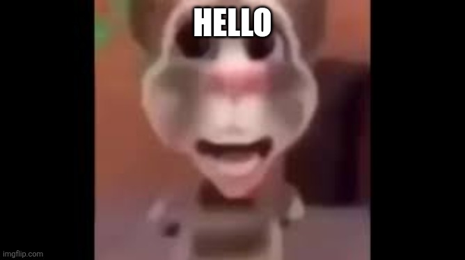Boy What the Hell Boy | HELLO | image tagged in boy what the hell boy | made w/ Imgflip meme maker