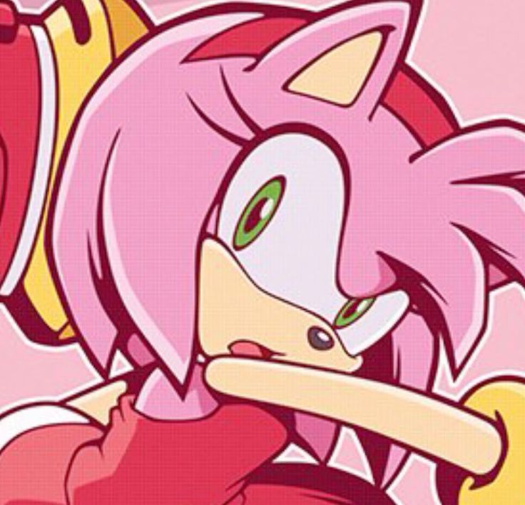 amy rose Blank Meme Template
