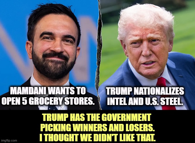 TRUMP NATIONALIZES INTEL AND U.S. STEEL. MAMDANI WANTS TO OPEN 5 GROCERY STORES. TRUMP HAS THE GOVERNMENT 
PICKING WINNERS AND LOSERS.
I THOUGHT WE DIDN'T LIKE THAT. | image tagged in trump,mamdani,socialist,industry | made w/ Imgflip meme maker