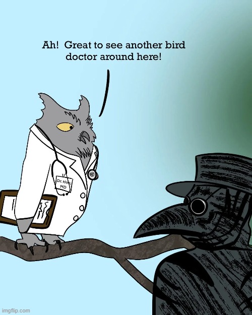 image tagged in owl,bird,doctor,plague doctor,halloween,doctors | made w/ Imgflip meme maker