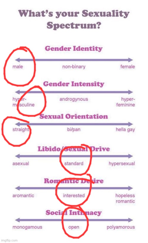 Hm. They got that. | image tagged in what's your sexuality spectrum | made w/ Imgflip meme maker