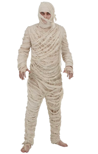 Mummy Costume Blank Meme Template