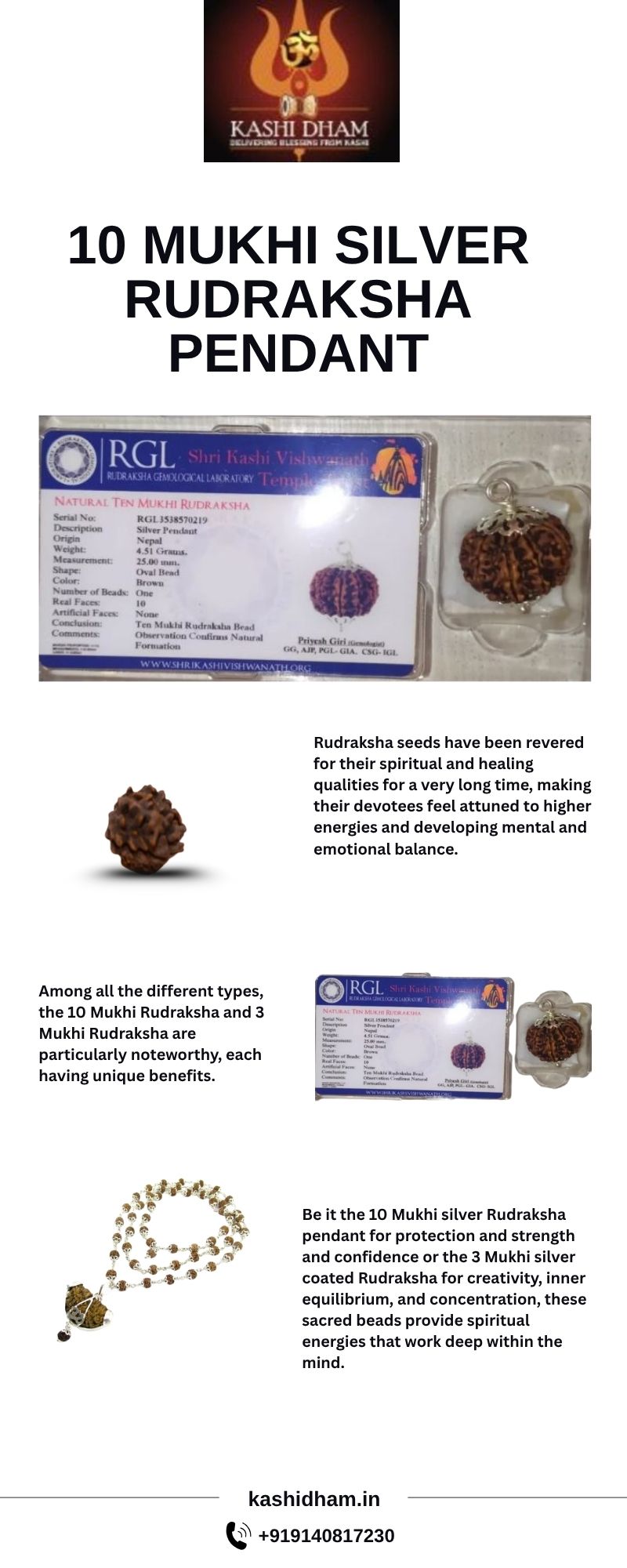 10 Mukhi Silver Rudraksha Pendant Blank Meme Template