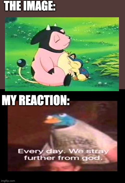 why does this even exist in the anime | THE IMAGE:; MY REACTION: | image tagged in everyday we stray further from god,pokemon,anime | made w/ Imgflip meme maker