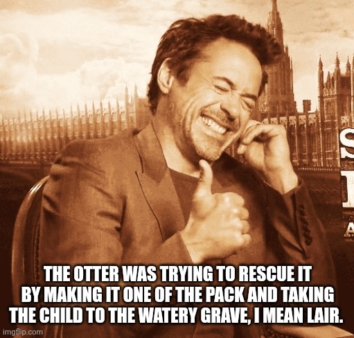 laughing | THE OTTER WAS TRYING TO RESCUE IT BY MAKING IT ONE OF THE PACK AND TAKING THE CHILD TO THE WATERY GRAVE, I MEAN LAIR. | image tagged in laughing | made w/ Imgflip meme maker