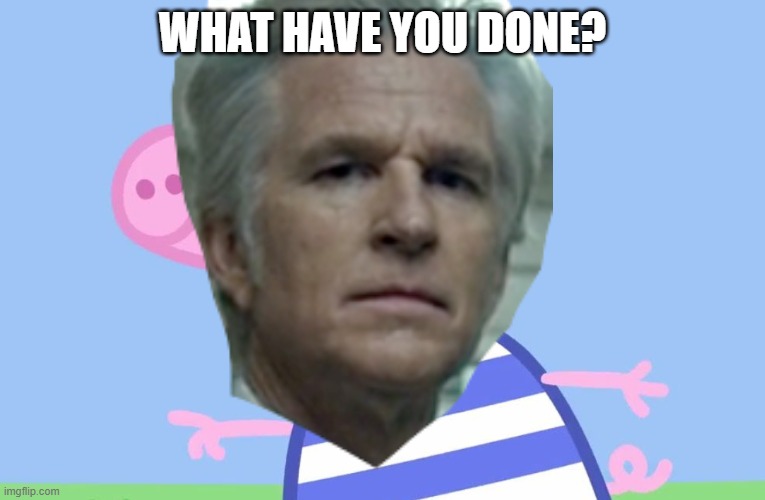 What have You done? | WHAT HAVE YOU DONE? | image tagged in what have you done | made w/ Imgflip meme maker