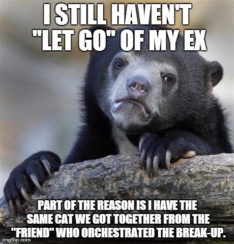 Confession Bear Meme | I STILL HAVEN'T "LET GO" OF MY EX PART OF THE REASON IS I HAVE THE SAME CAT WE GOT TOGETHER FROM THE "FRIEND" WHO ORCHESTRATED THE BREAK-UP. | image tagged in memes,confession bear | made w/ Imgflip meme maker