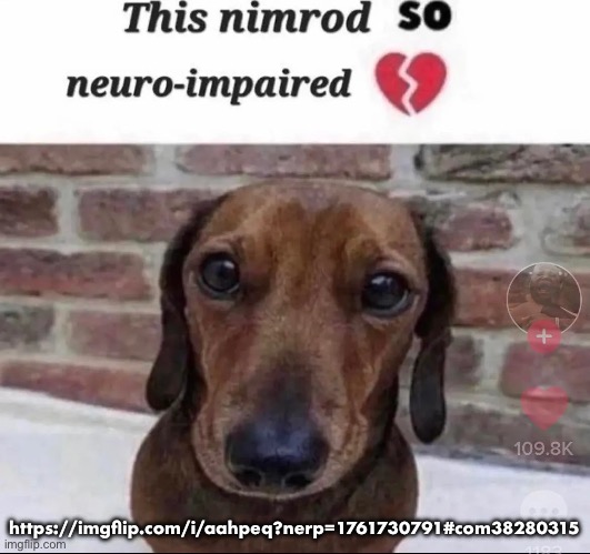 Bro can’t even come up with his own argument and had to use AI, how pathetic | https://imgflip.com/i/aahpeq?nerp=1761730791#com38280315 | image tagged in this nimrod so neuro-impaired | made w/ Imgflip meme maker