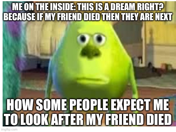 Nah | ME ON THE INSIDE: THIS IS A DREAM RIGHT? BECAUSE IF MY FRIEND DIED THEN THEY ARE NEXT; HOW SOME PEOPLE EXPECT ME TO LOOK AFTER MY FRIEND DIED | image tagged in memes | made w/ Imgflip meme maker
